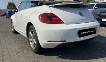 VOLKSWAGEN Beetle Cabrio Sport 2.0 TDI 150CV DSG BMT lleno