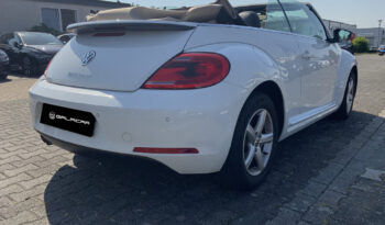 VOLKSWAGEN Beetle Cabrio Sport 2.0 TDI 150CV DSG BMT lleno