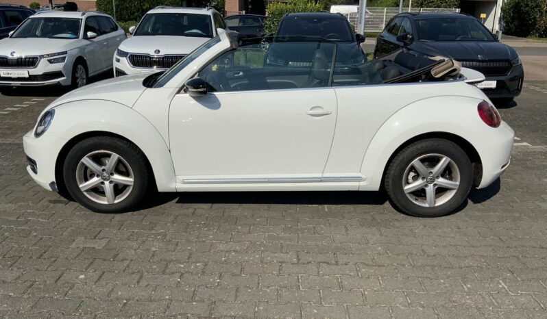 VOLKSWAGEN Beetle Cabrio Sport 2.0 TDI 150CV DSG BMT lleno