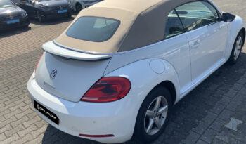 VOLKSWAGEN Beetle Cabrio Sport 2.0 TDI 150CV DSG BMT lleno